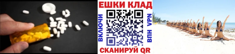 blacksprut зеркало  Данилов  Экстази Philipp Plein 