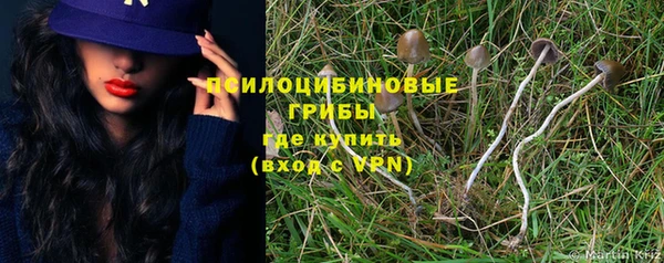 a pvp Володарск