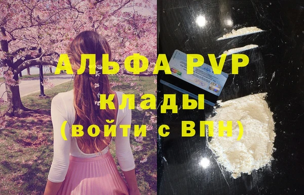 СК Волоколамск