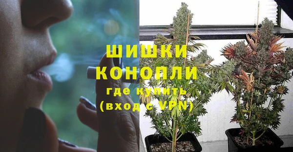 СК Волоколамск